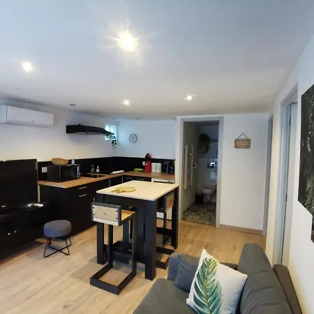 Apartment 2 Avec Piscine Sernhac
